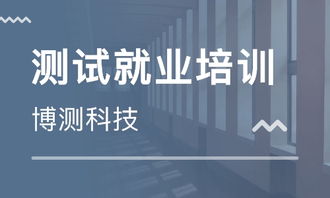 石家莊計(jì)算機(jī)軟件開發(fā)課程