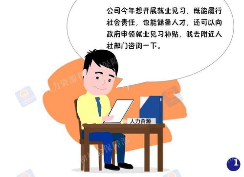 就業(yè)見(jiàn)習(xí)補(bǔ)貼如何辦 官方解答