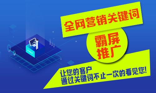 天津有實力的網站建設開發