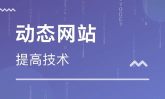天津網(wǎng)站建站培訓 天津動態(tài)網(wǎng)站后臺開發(fā)班 天津先鋒科教職業(yè)培訓學校