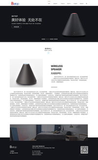 天津網(wǎng)站建設(shè)之奔唐網(wǎng)絡(luò)數(shù)碼科技網(wǎng)站案例